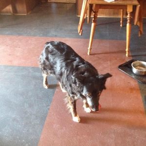 Meet your Posher, Larry